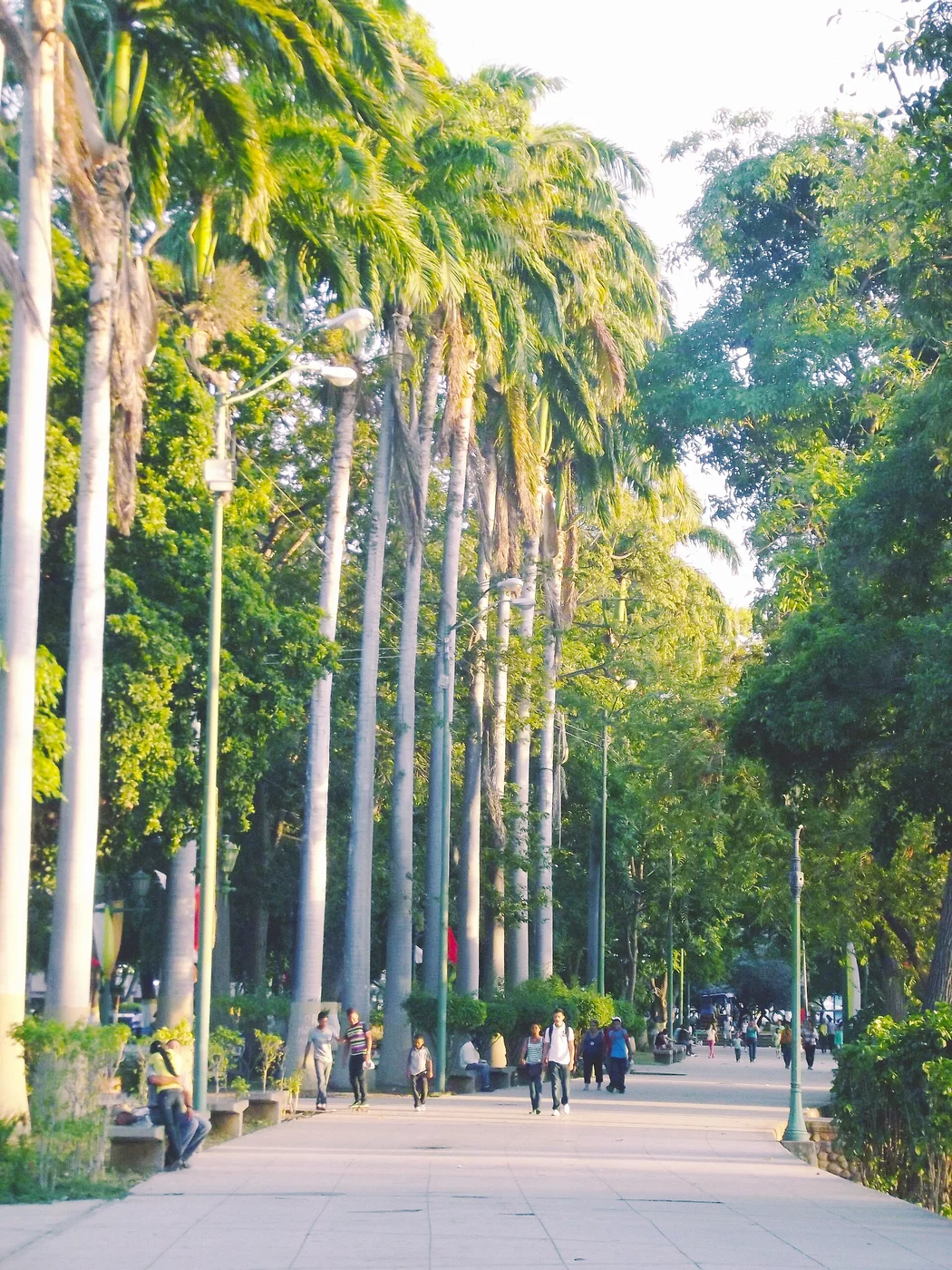 Parque Ayacucho in Cumaná, Venezuela
