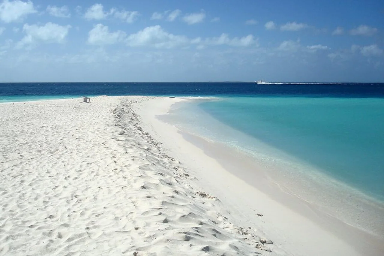 Madrisquí in Los Roques, one of the archipelago’s visitor cays.