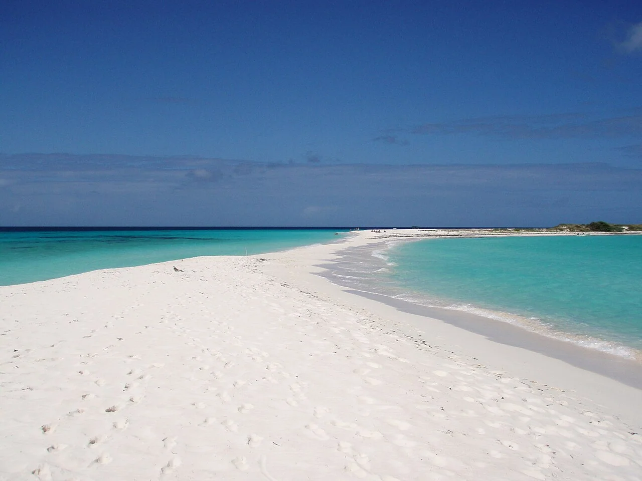 Clear water at Cayo de Agua in Los Roques National Park.