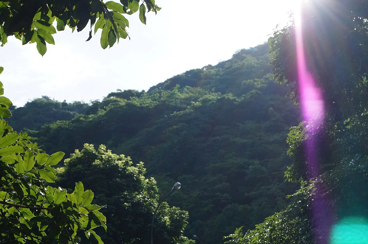 Valencia, Carabobo, shows the built environment behind a city-level comparison rather than a national average.