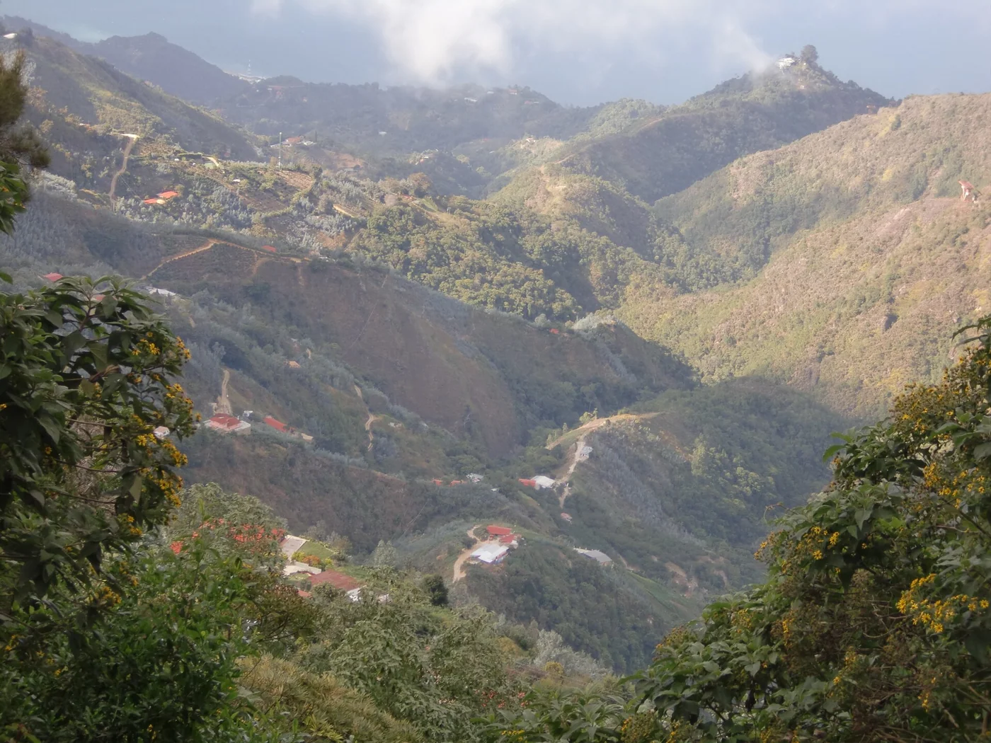 Green slopes of Parque Nacional El Ávila, also known as Waraira Repano.