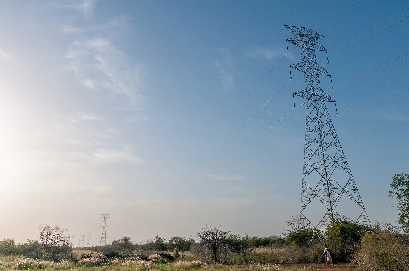 Electricity pylons crossing scrub in Las Guevaras on Margarita Island.