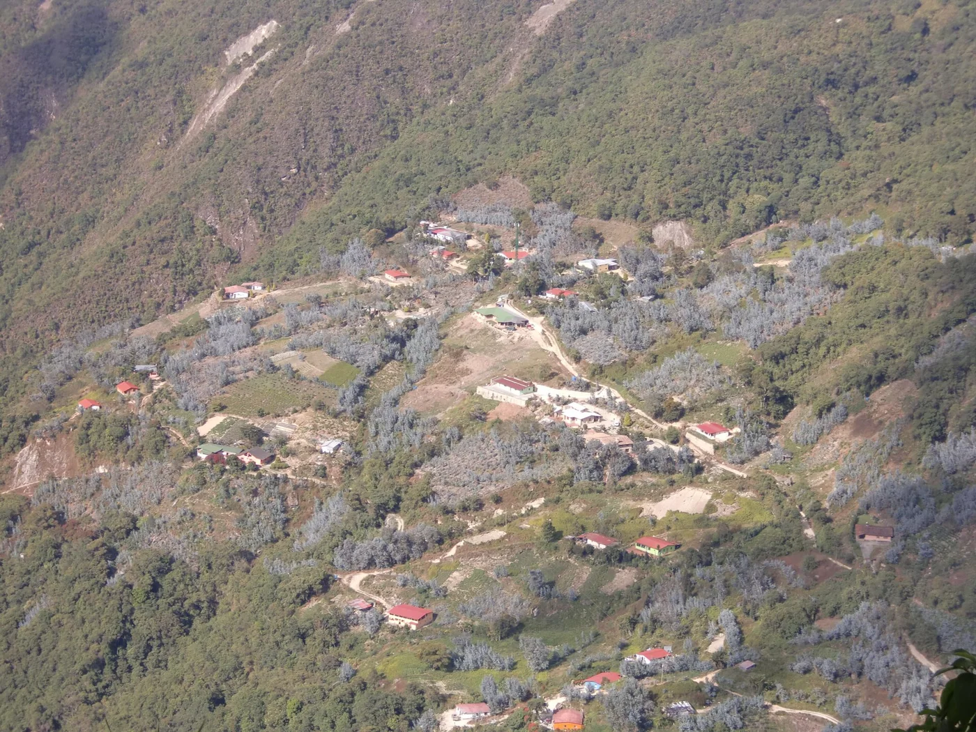 Mountain landscape in Parque Nacional El Ávila, Venezuela.