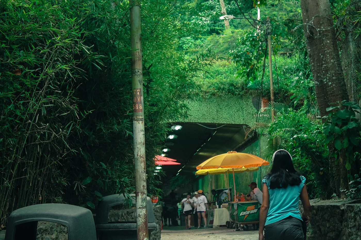 Entrance to the Sabas Nieves trail in El Ávila, Caracas.