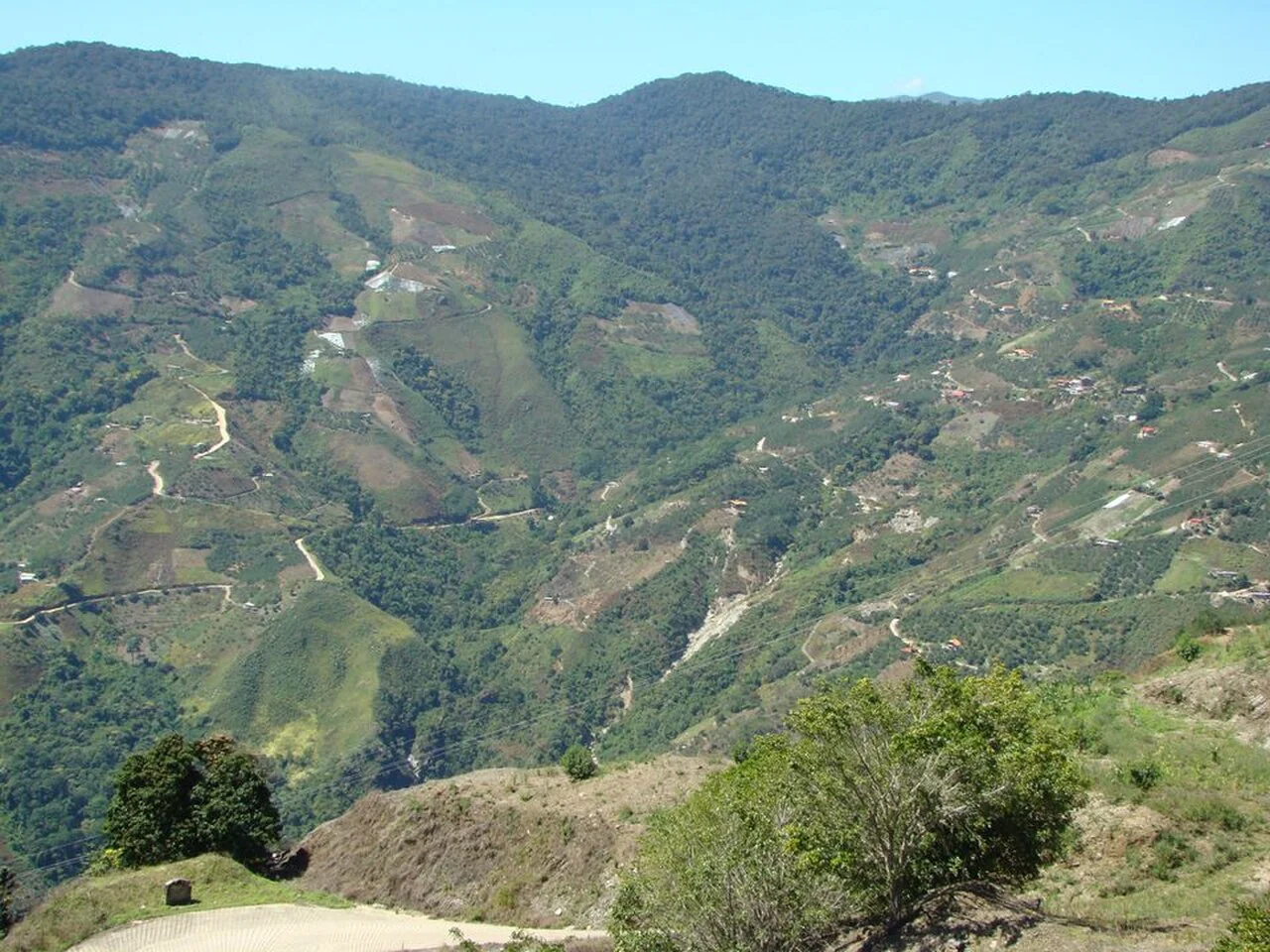 Landscape in Colonia Tovar, Aragua State, Venezuela.