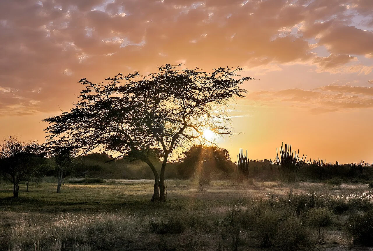 Sunset over Las Guevaras on Margarita Island, Venezuela.