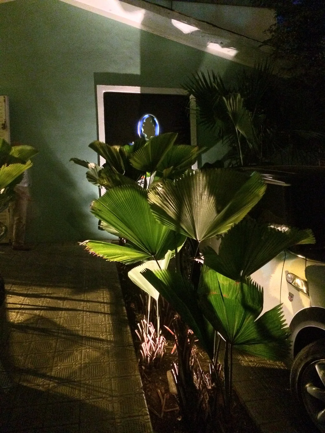 Madame Blac in Las Mercedes