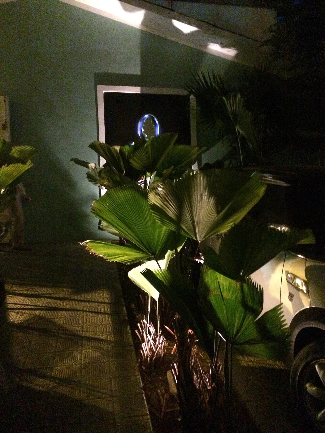 Madame Blac storefront in Las Mercedes