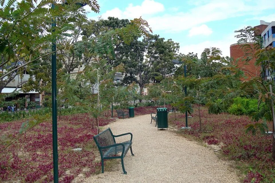 Plaza Alfredo Sadel in Las Mercedes