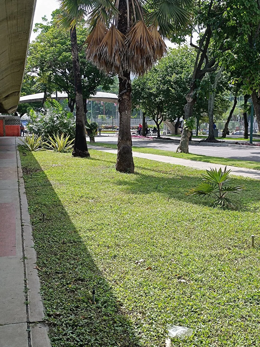 A second documented view of the Plaza de las Tres Gracias access at UCV, Caracas.