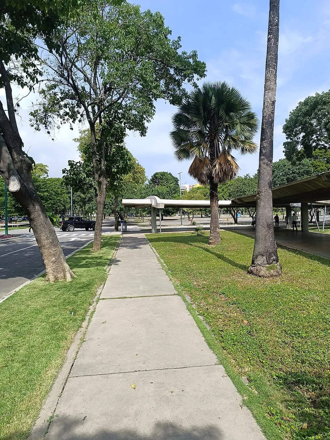 Tree-lined pedestrian access near the Plaza de las Tres Gracias entrance to UCV, Caracas.