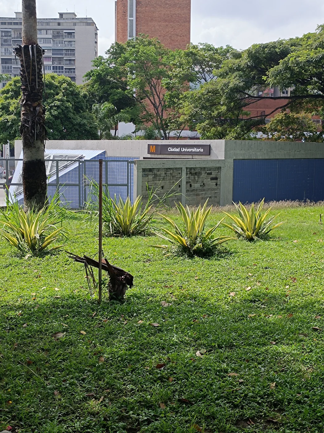 Estación Ciudad Universitaria de la línea 3 del metro de Caracas, cerca del acceso a la UCV en la puerta plaza las Tres Gracias 8 de Septiembre Caracas Venezuela