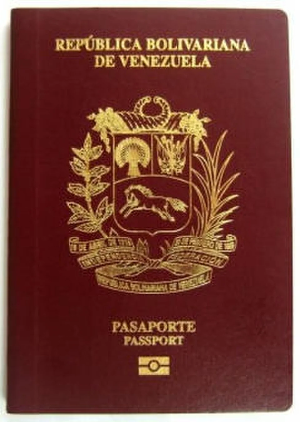 Venezuelan biometric passport cover used as identity-document context.