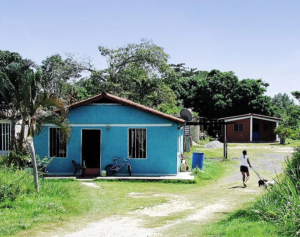 A residential scene in Tacarigua de la Laguna, Miranda, Venezuela, with a child and dog.
