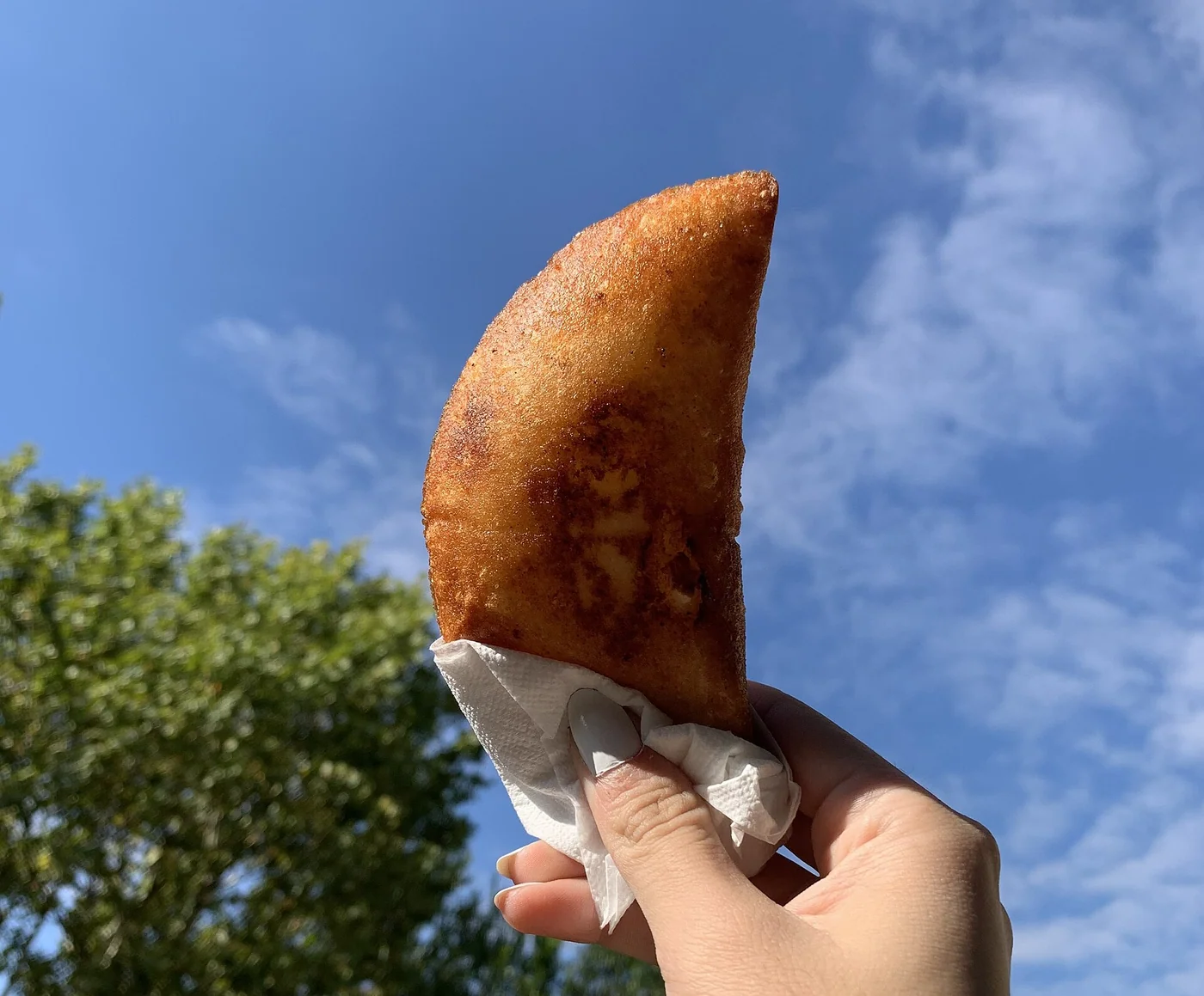 Venezuelan food