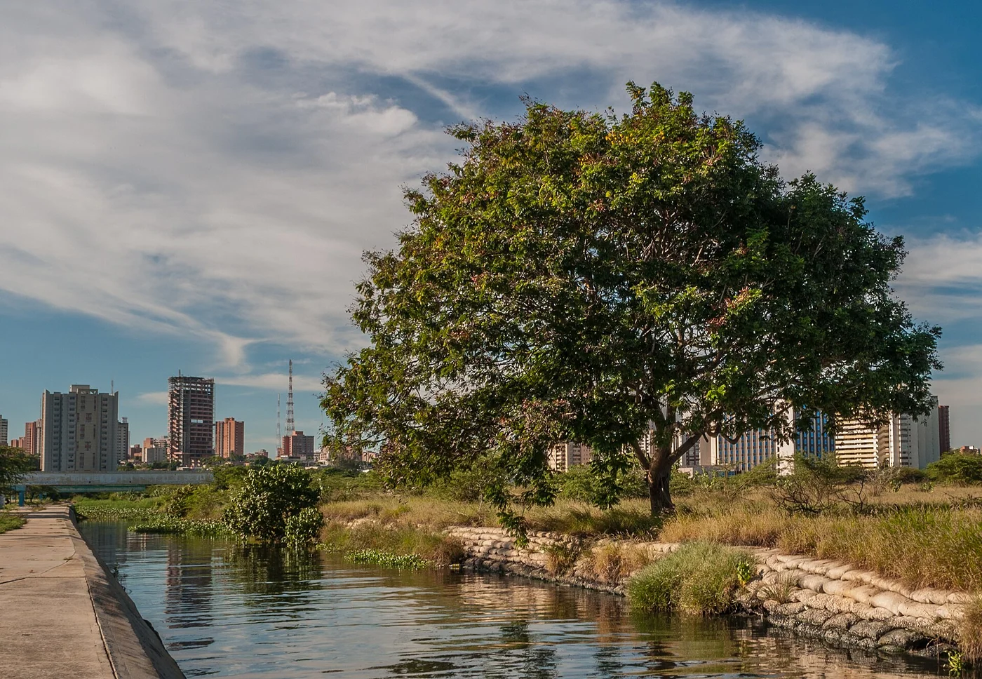 Cañada del Paseo del Lago in Maracaibo, Zulia