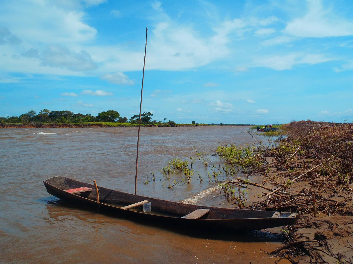 River landscape in Apure, Venezuela