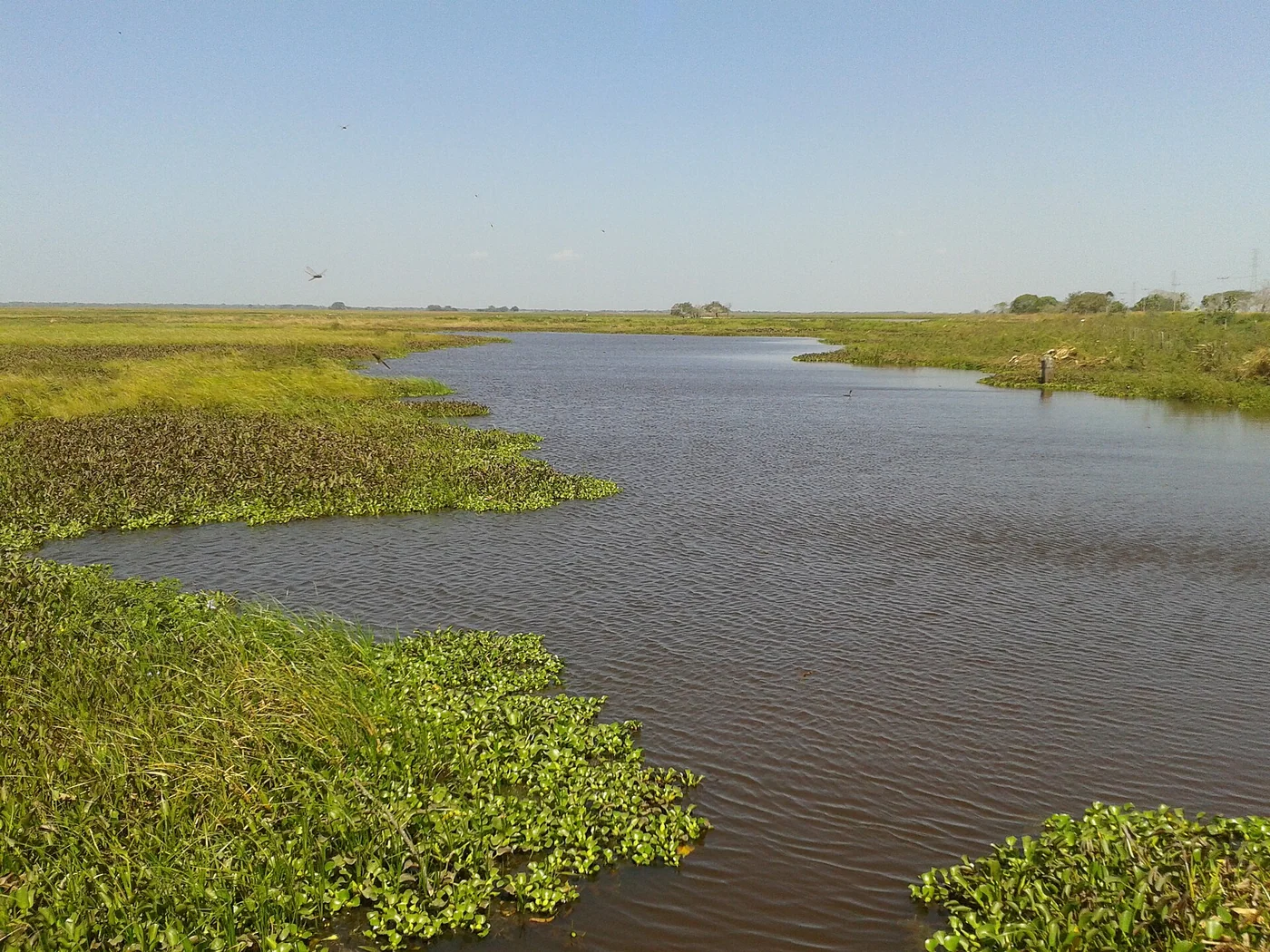 Hato El Cedral in the Venezuelan Llanos
