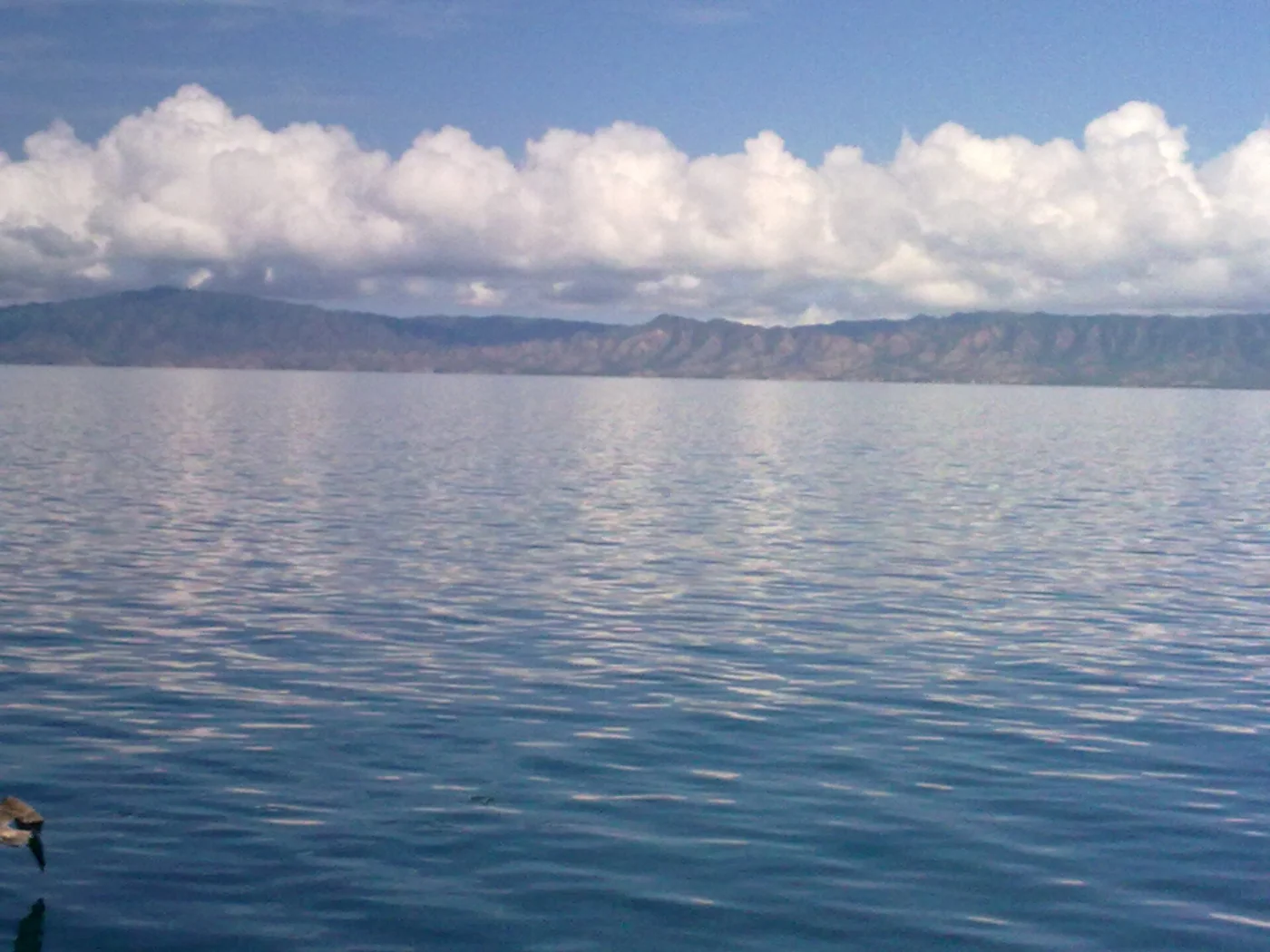 Caribbean coast in Sucre state